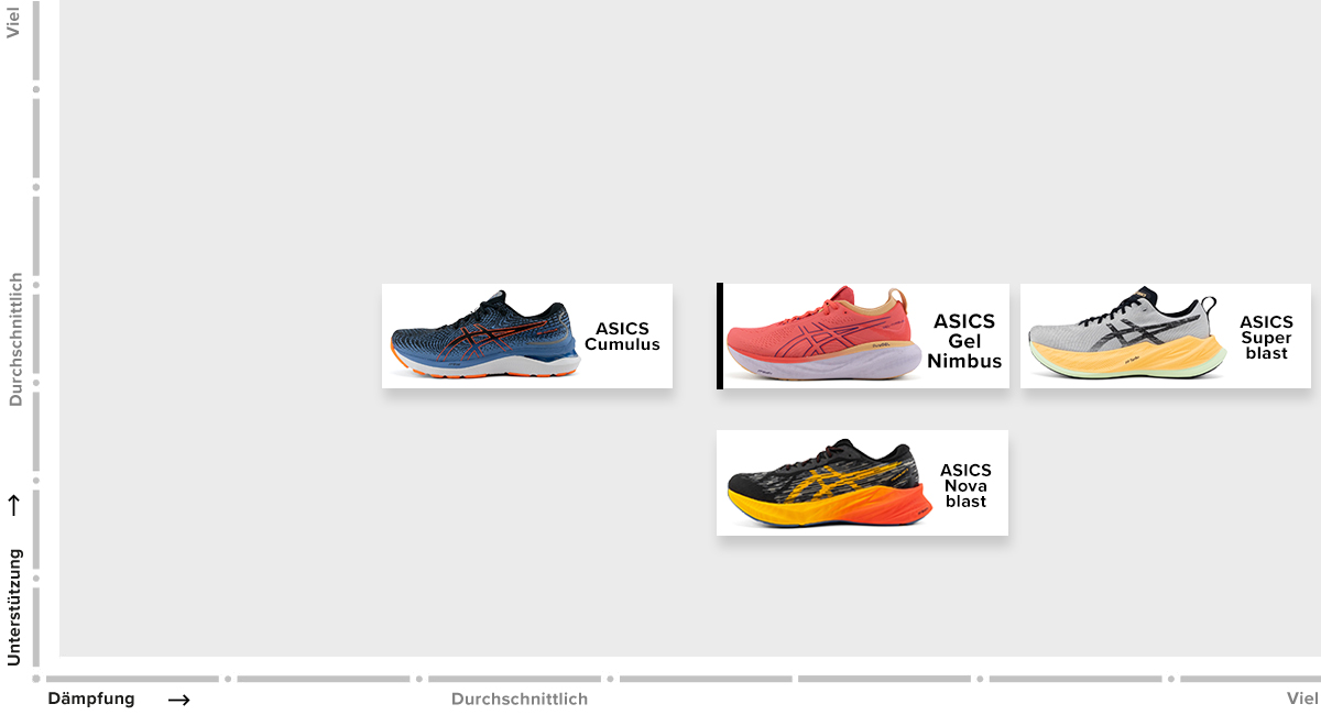 Product family ASICS DE