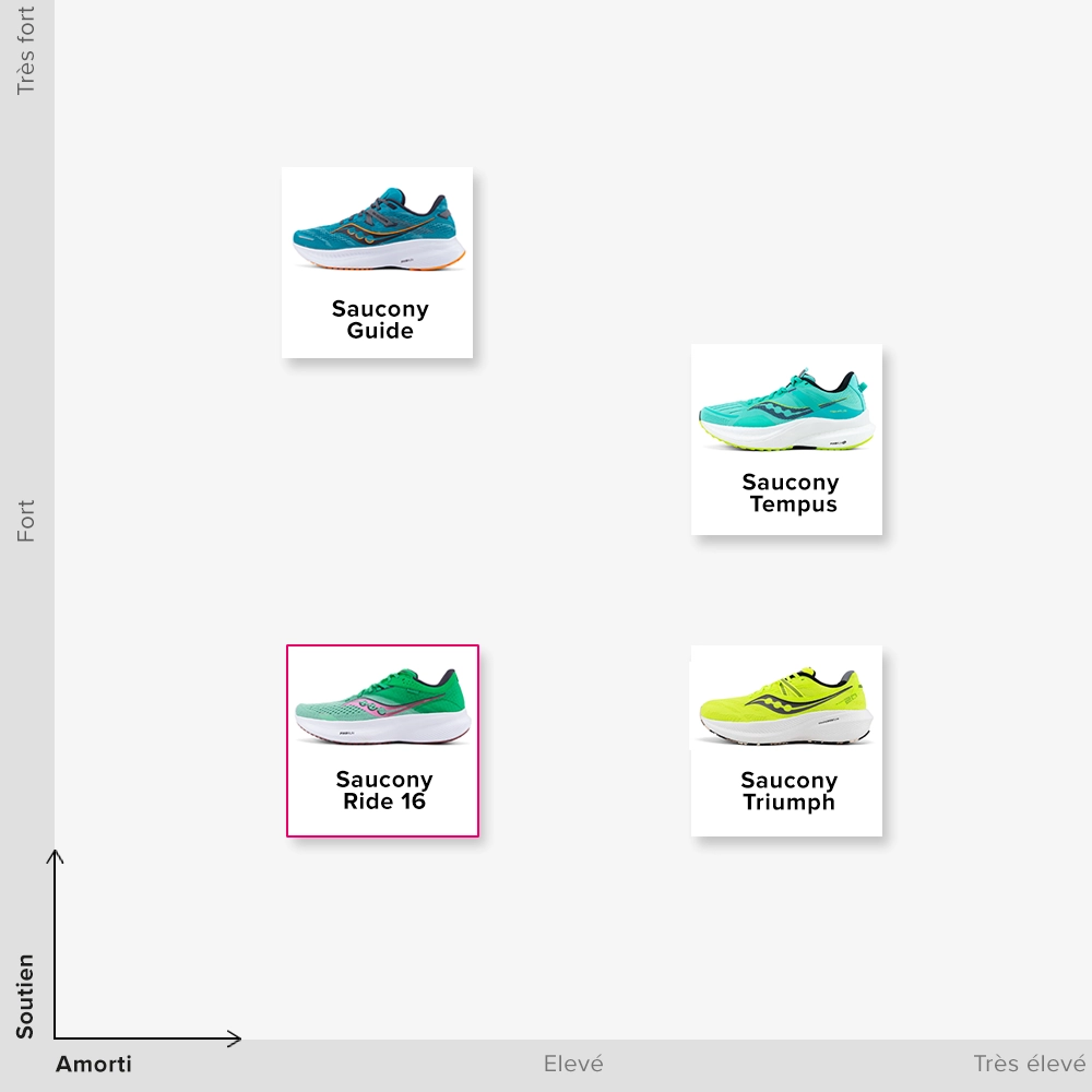 LA FAMILLE SAUCONY