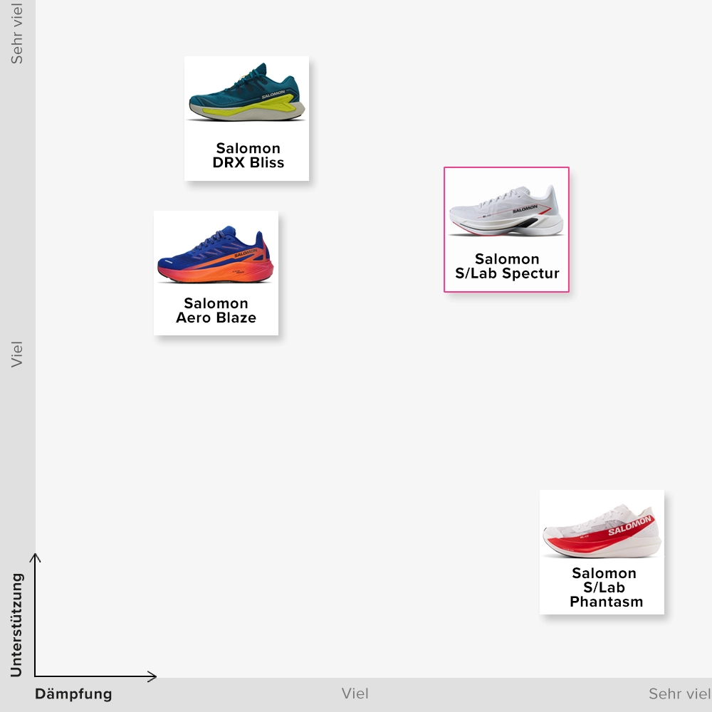 Salomon S/Lab Spectur