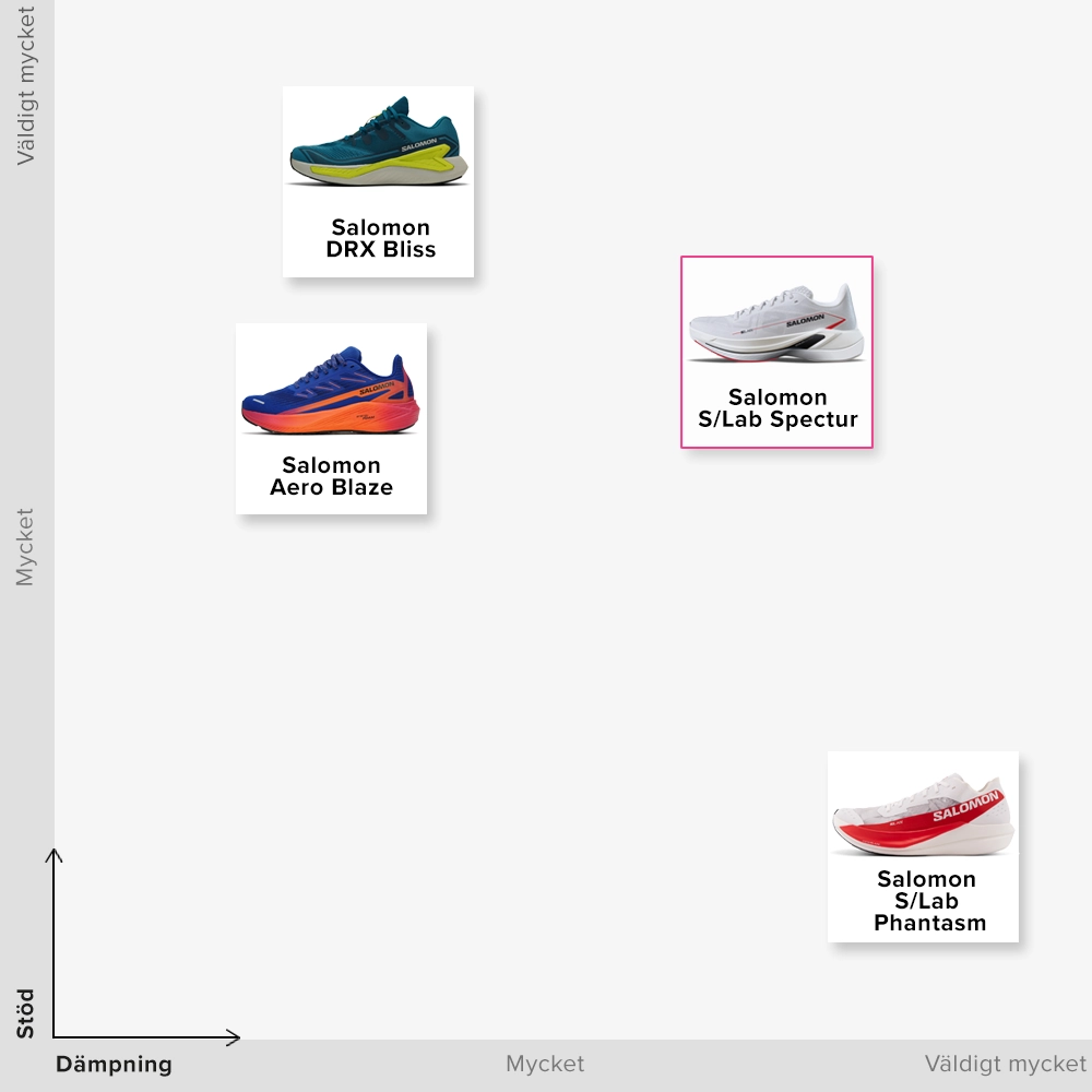 Salomon S/Lab Spectur