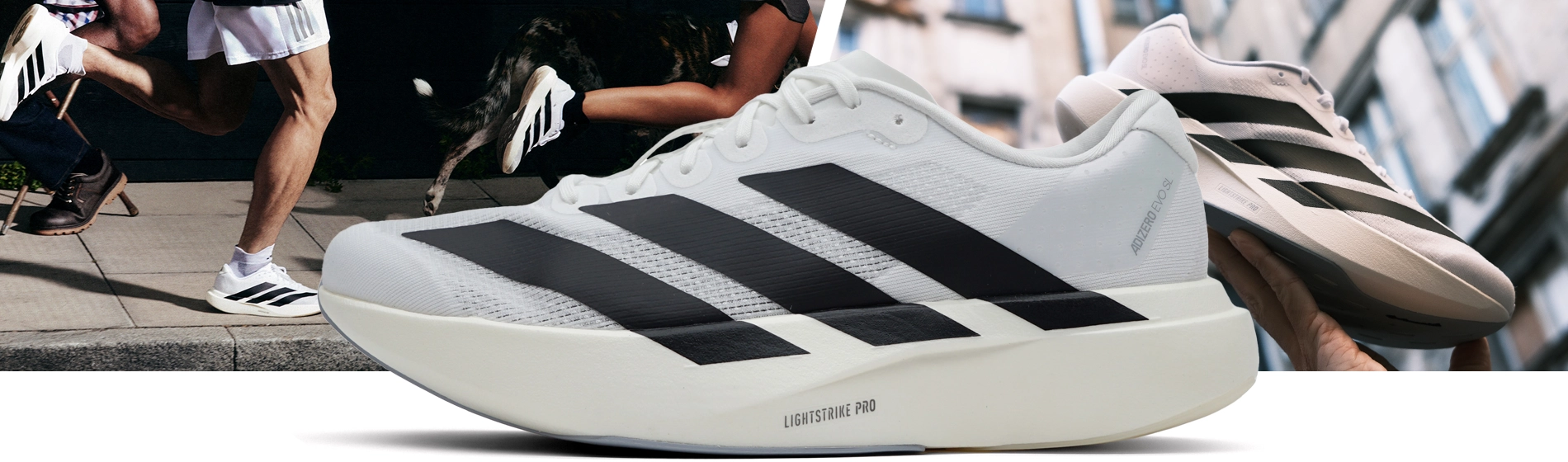 adidas Adizero Evo SL blog header